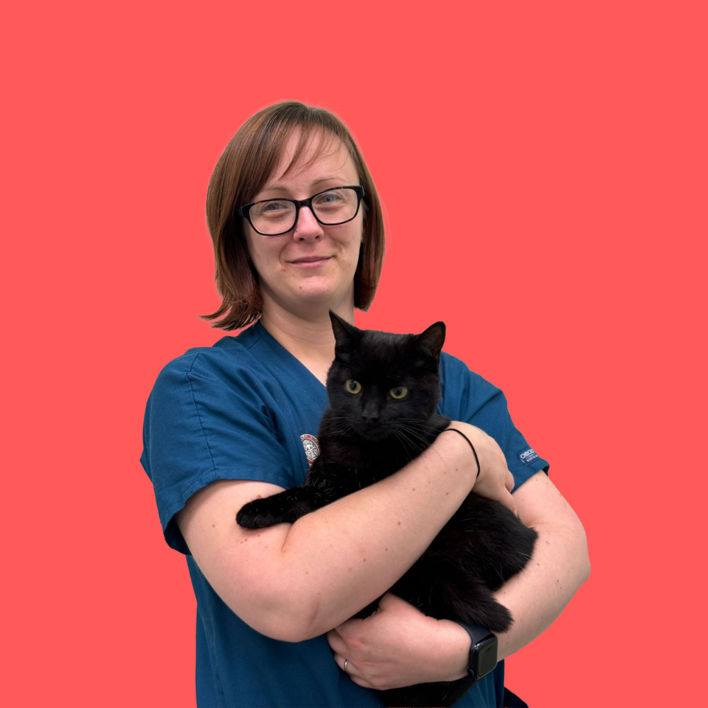 Person holding a black cat.