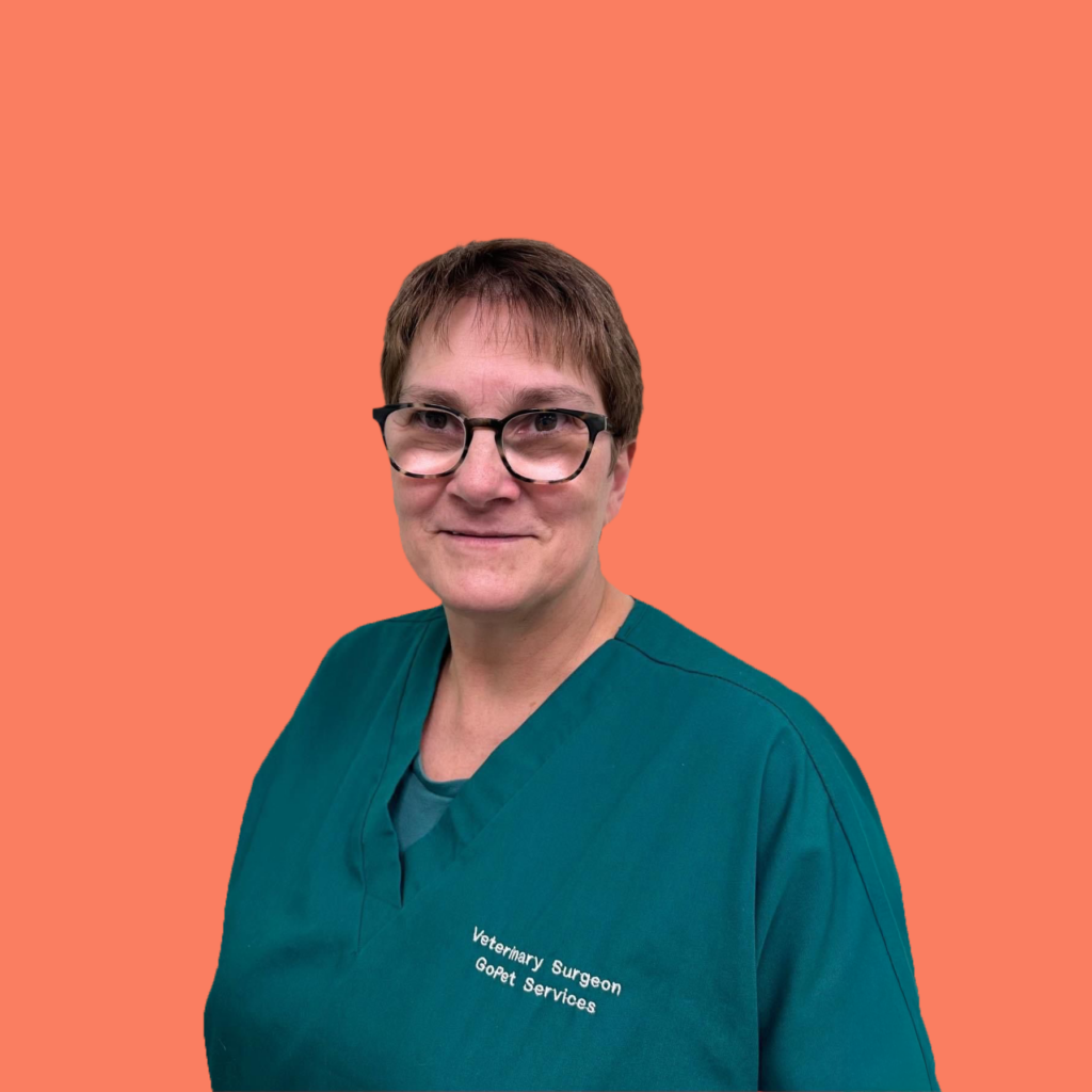 Person in veterinary surgeon scrubs.