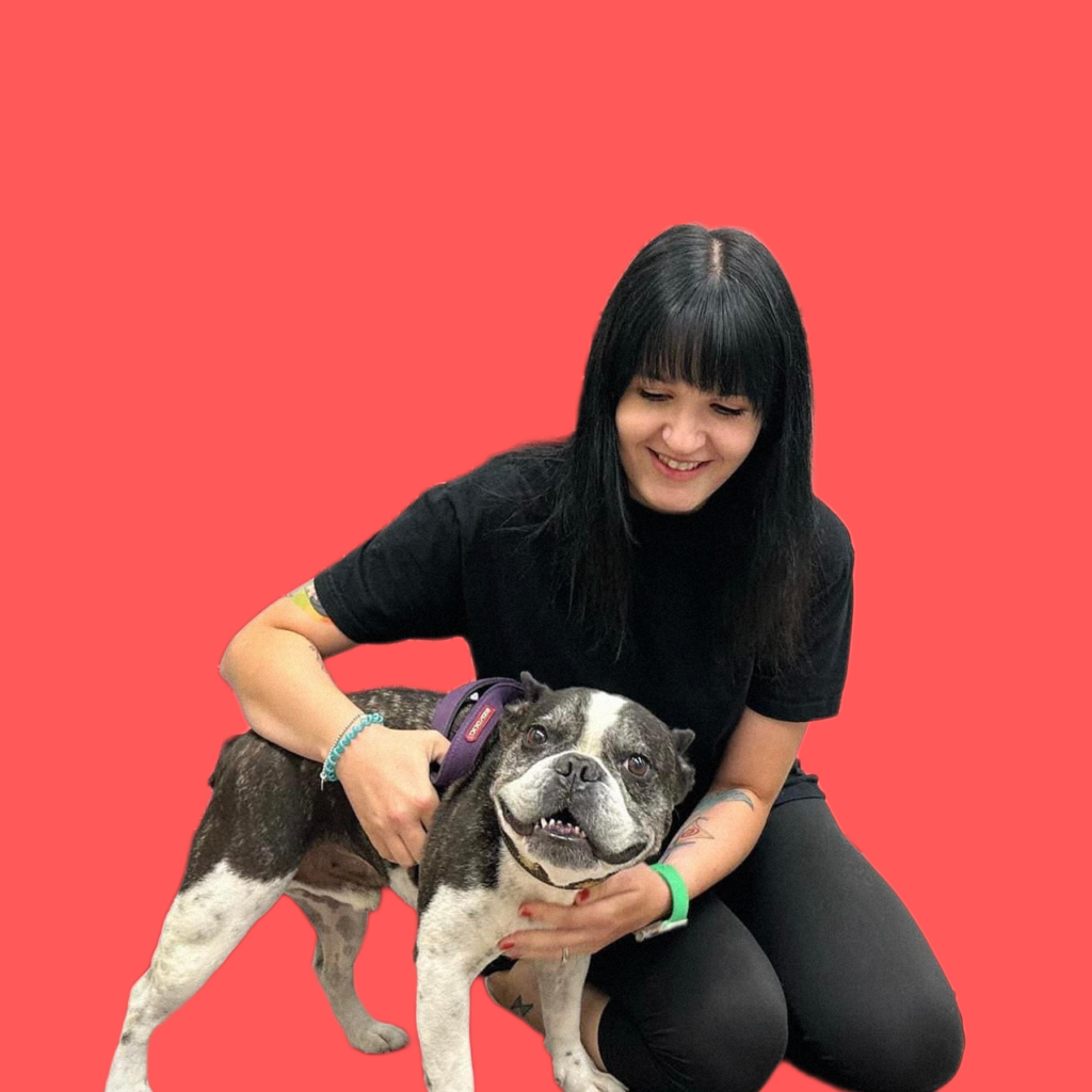 Person with dog on red background