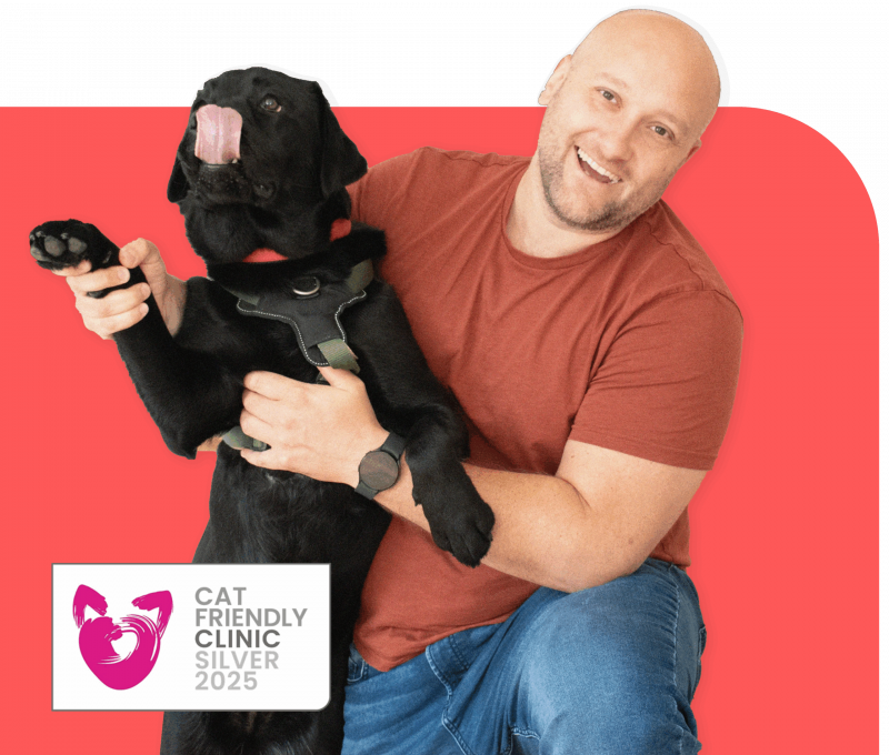 GoPet-Vets-Homepage. Vets in Bexhill on Sea