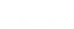 gopet-logo-footer